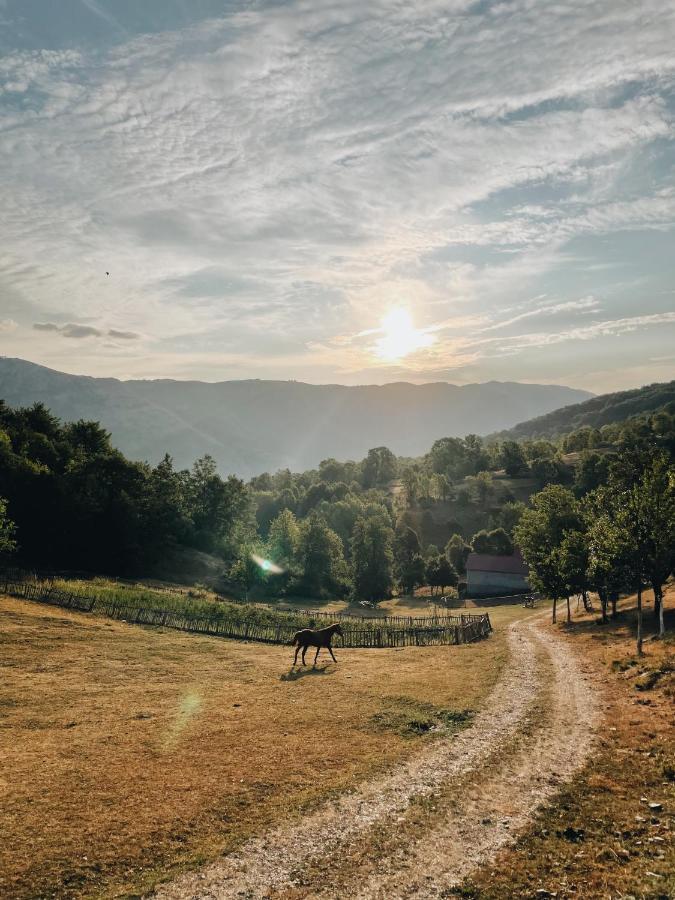 Etno Village Vojnik Šavnik Kültér fotó