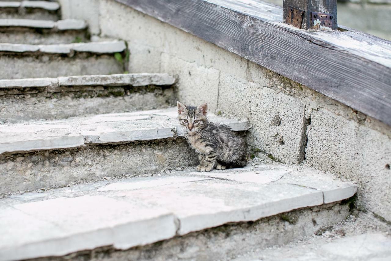 Etno Village Vojnik Šavnik Kültér fotó